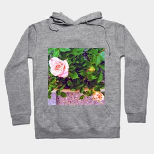 Pink Roses Hoodie